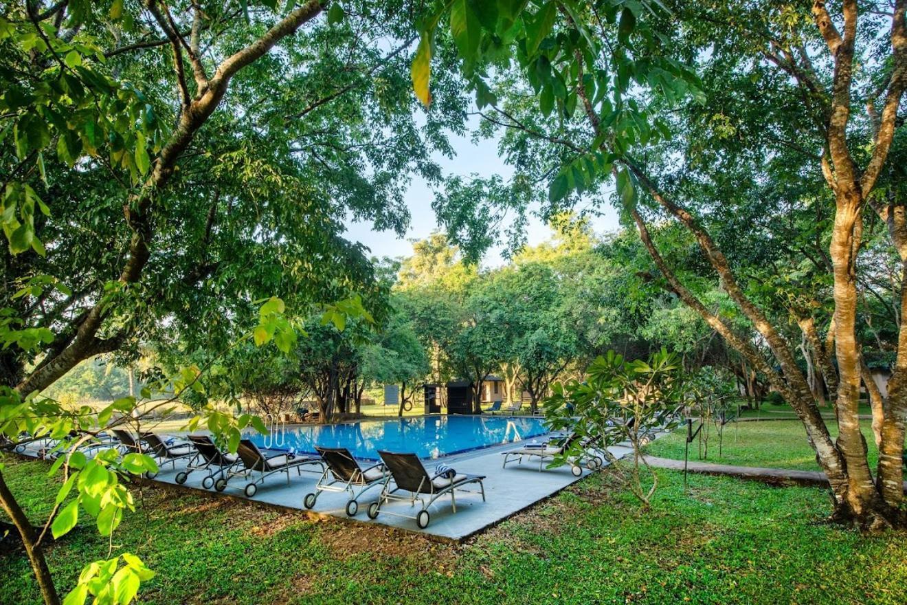 Kassapa Lions Rock Hotel Sigiriya Exterior foto