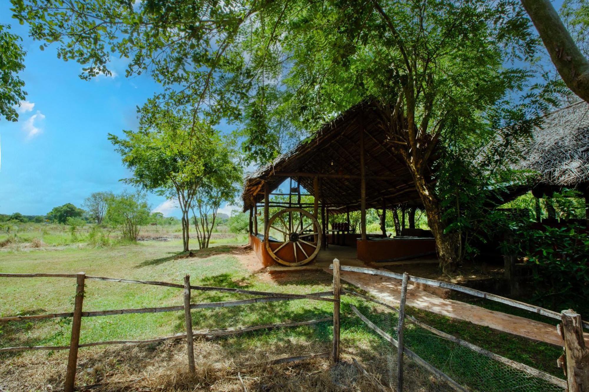 Kassapa Lions Rock Hotel Sigiriya Exterior foto