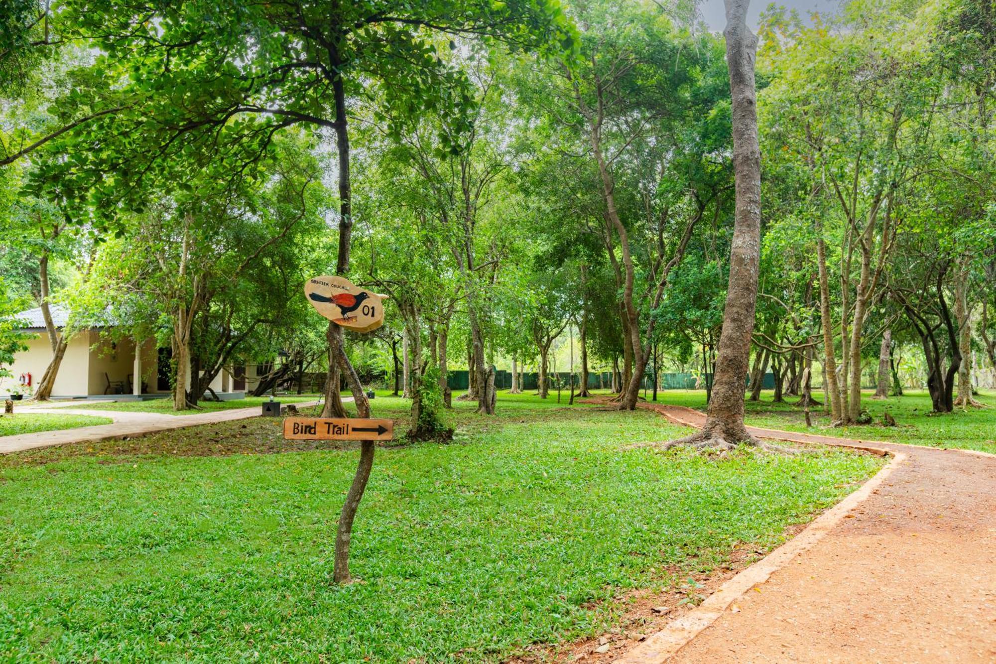 Kassapa Lions Rock Hotel Sigiriya Exterior foto